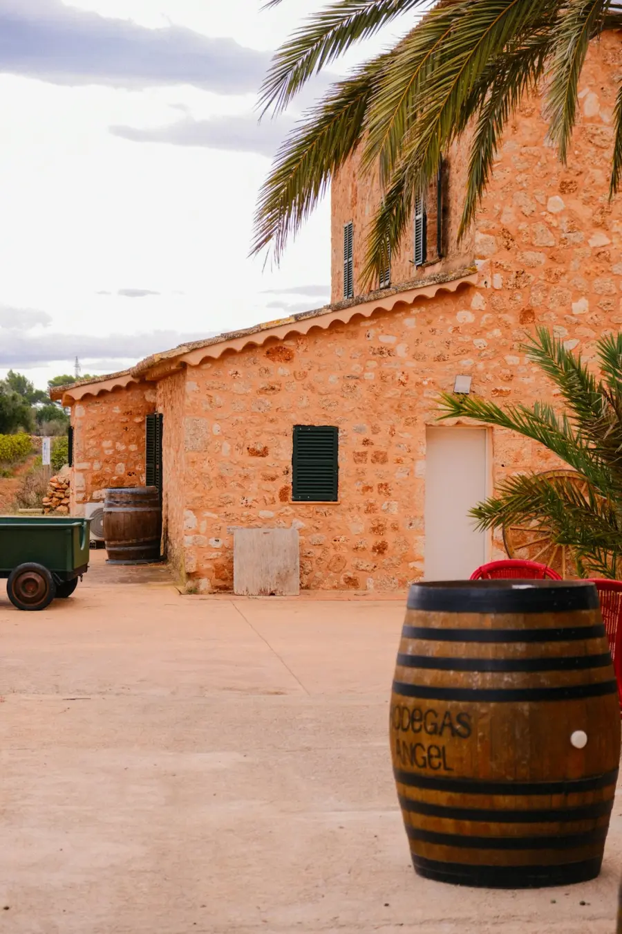 Patio de una finca de piedra con barricas de vino y palmeras